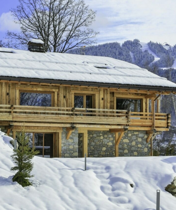 Extérieur du chalet montagnard à Megène